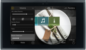 Professional Whole House Audio Installation | Tampa Bay Audio Visual